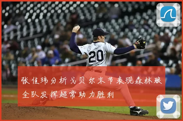张佳玮分析戈贝尔末节表现森林狼全队发挥超常助力胜利