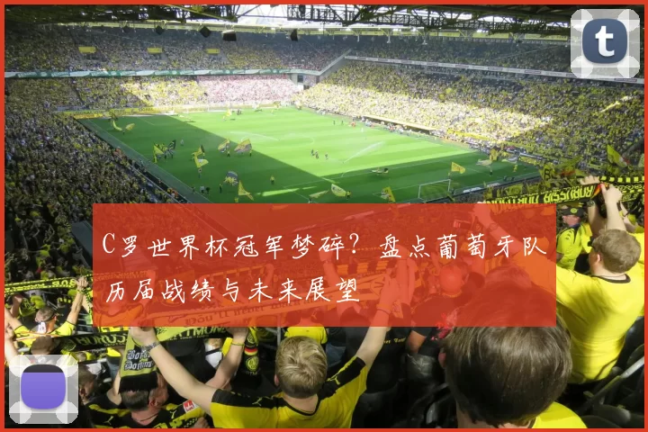 C罗世界杯冠军梦碎？盘点葡萄牙队历届战绩与未来展望