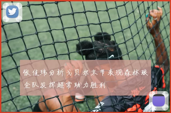 张佳玮分析戈贝尔末节表现森林狼全队发挥超常助力胜利