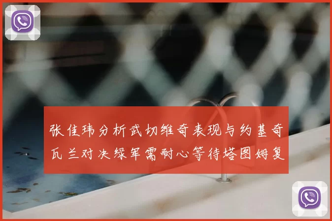 张佳玮分析武切维奇表现与约基奇瓦兰对决绿军需耐心等待塔图姆复出