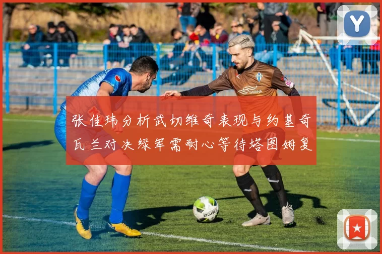 张佳玮分析武切维奇表现与约基奇瓦兰对决绿军需耐心等待塔图姆复出