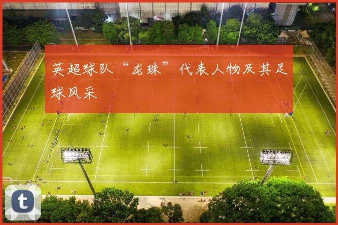 英超球队“龙珠”代表人物及其足球风采