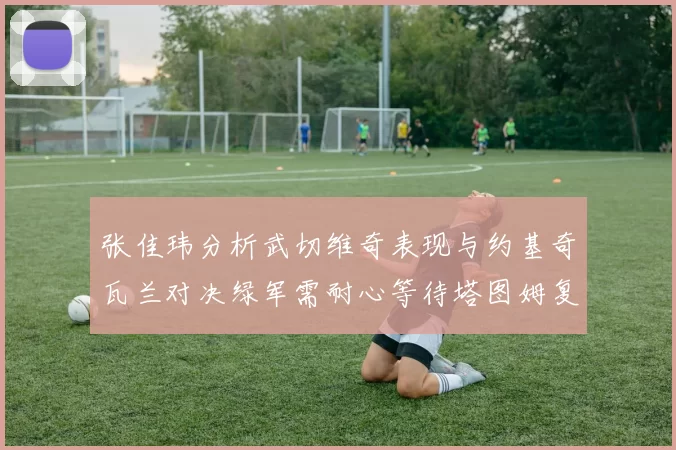 张佳玮分析武切维奇表现与约基奇瓦兰对决绿军需耐心等待塔图姆复出