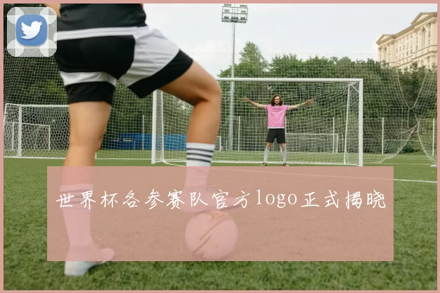 世界杯各参赛队官方logo正式揭晓
