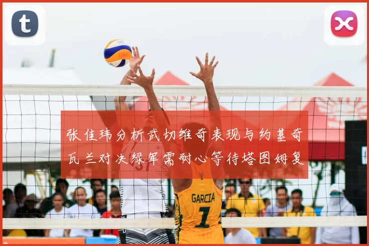 张佳玮分析武切维奇表现与约基奇瓦兰对决绿军需耐心等待塔图姆复出