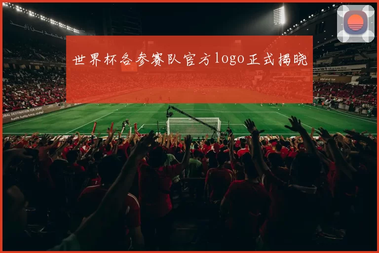 世界杯各参赛队官方logo正式揭晓