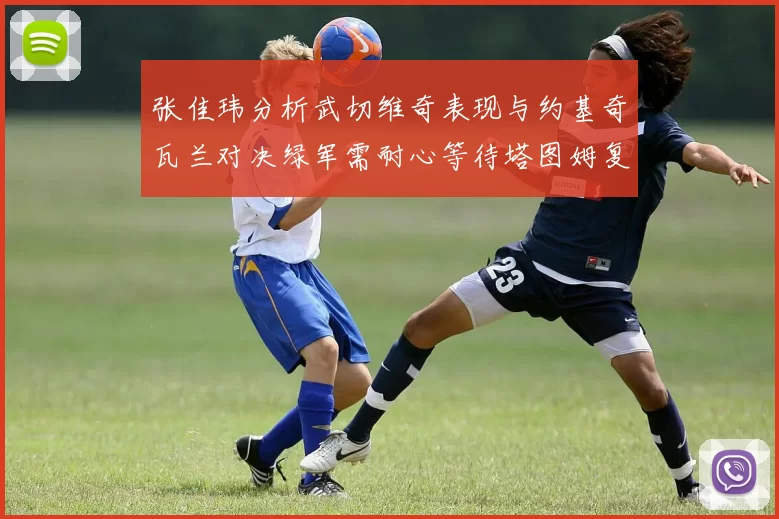 张佳玮分析武切维奇表现与约基奇瓦兰对决绿军需耐心等待塔图姆复出