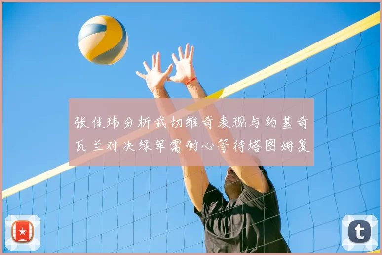 张佳玮分析武切维奇表现与约基奇瓦兰对决绿军需耐心等待塔图姆复出