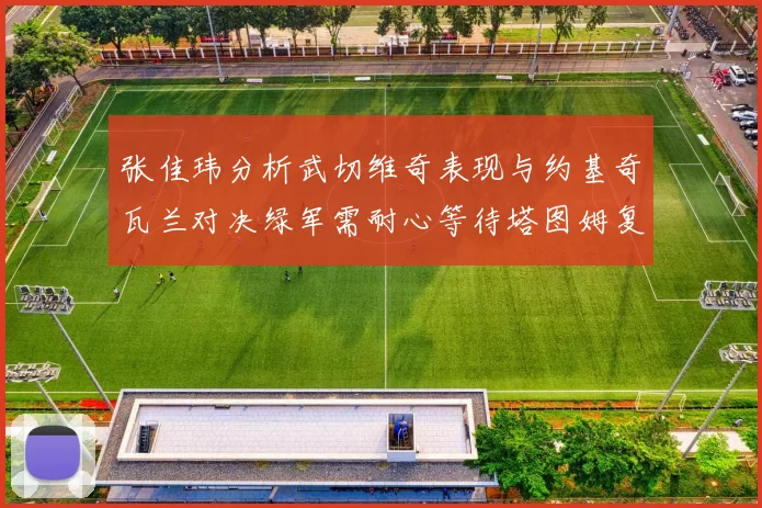 张佳玮分析武切维奇表现与约基奇瓦兰对决绿军需耐心等待塔图姆复出