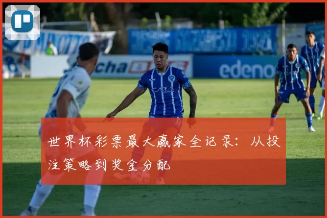 世界杯彩票最大赢家全记录:从投注策略到奖金分配