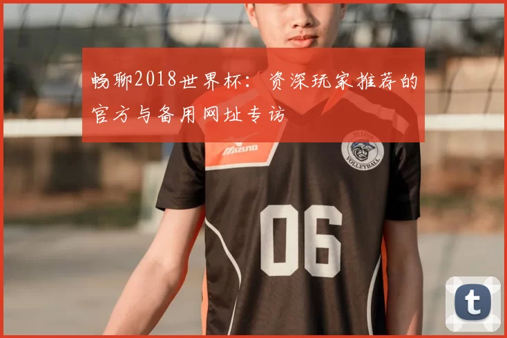 畅聊2018世界杯:资深玩家推荐的官方与备用网址专访