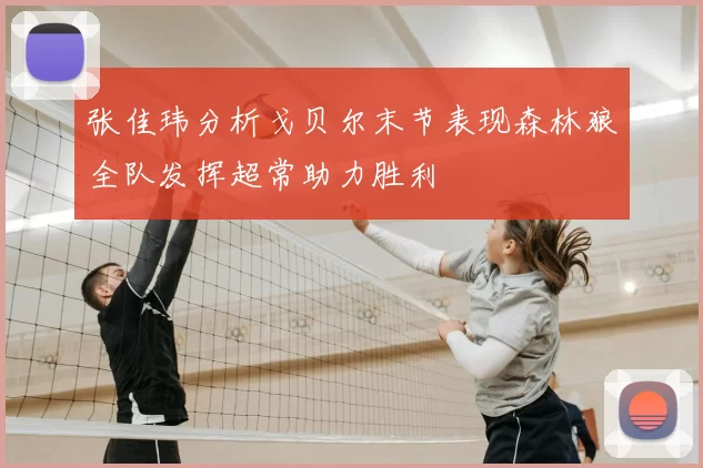 张佳玮分析戈贝尔末节表现森林狼全队发挥超常助力胜利
