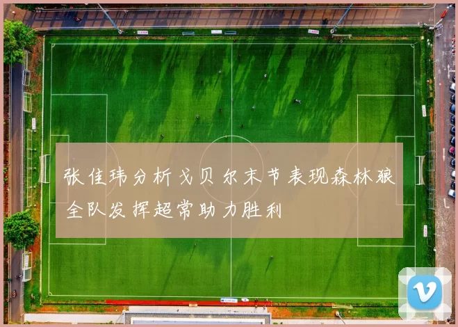 张佳玮分析戈贝尔末节表现森林狼全队发挥超常助力胜利