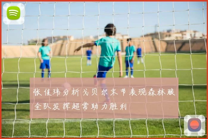 张佳玮分析戈贝尔末节表现森林狼全队发挥超常助力胜利