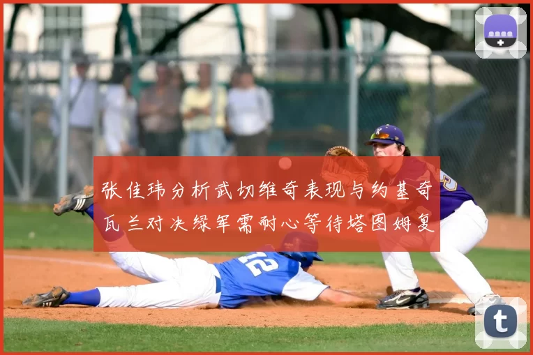 张佳玮分析武切维奇表现与约基奇瓦兰对决绿军需耐心等待塔图姆复出