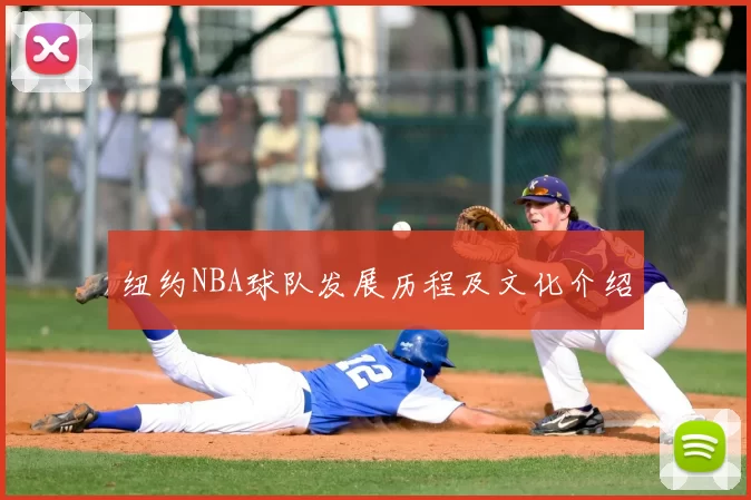 纽约NBA球队发展历程及文化介绍