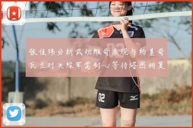 张佳玮分析武切维奇表现与约基奇瓦兰对决绿军需耐心等待塔图姆复出