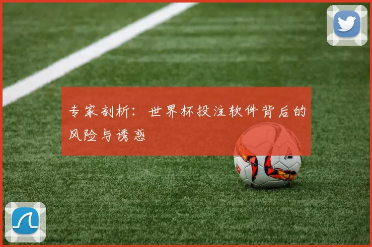 专家剖析：世界杯投注软件背后的风险与诱惑