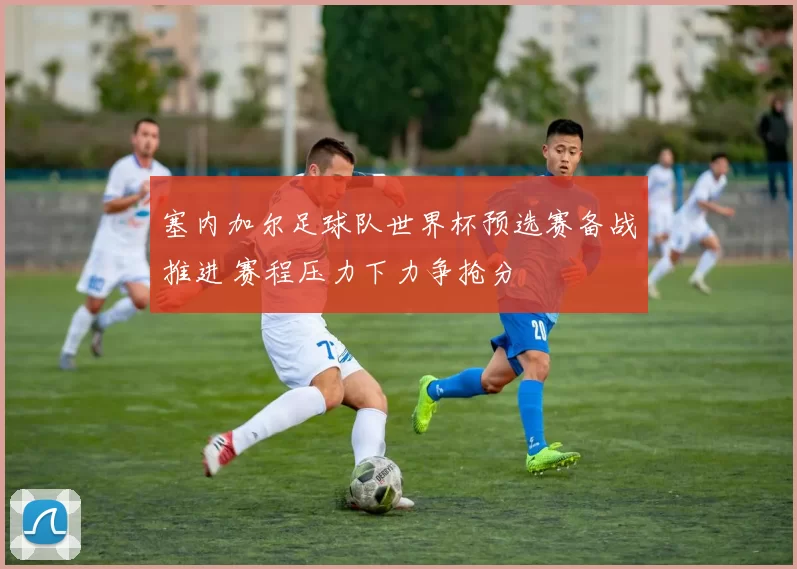 塞内加尔足球队世界杯预选赛备战推进 赛程压力下力争抢分