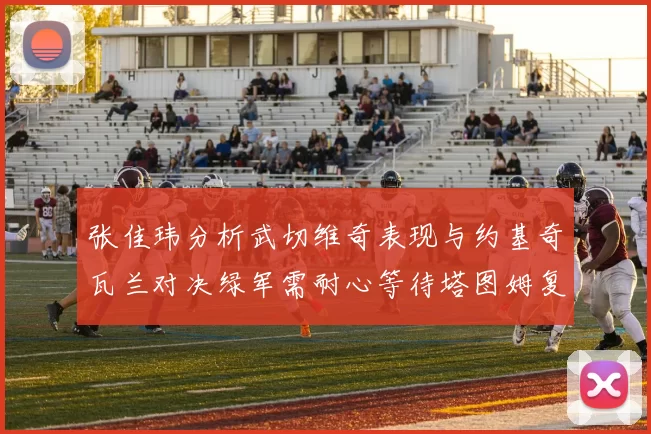 张佳玮分析武切维奇表现与约基奇瓦兰对决绿军需耐心等待塔图姆复出