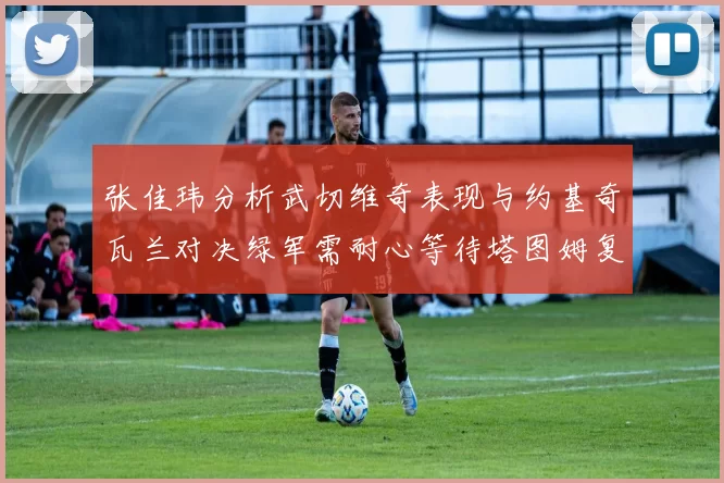 张佳玮分析武切维奇表现与约基奇瓦兰对决绿军需耐心等待塔图姆复出