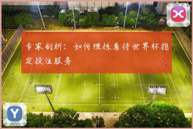 专家剖析：如何理性看待世界杯指定投注服务