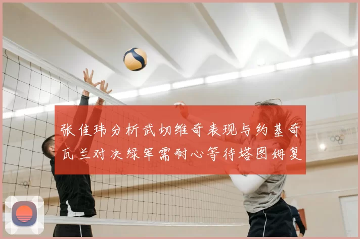 张佳玮分析武切维奇表现与约基奇瓦兰对决绿军需耐心等待塔图姆复出