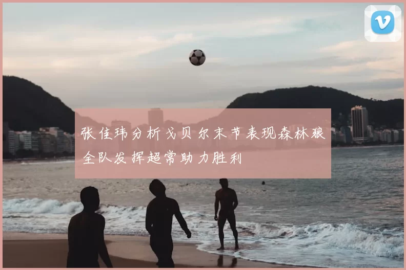 张佳玮分析戈贝尔末节表现森林狼全队发挥超常助力胜利