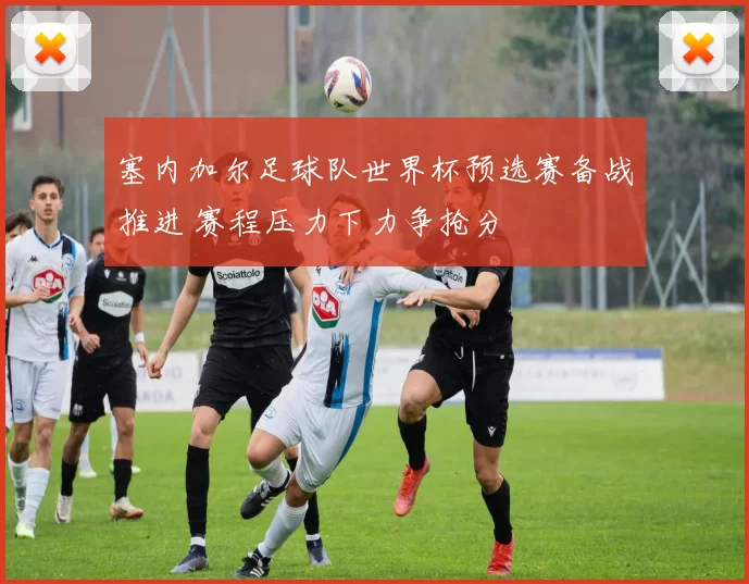 塞内加尔足球队世界杯预选赛备战推进 赛程压力下力争抢分