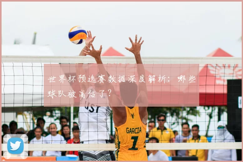 世界杯预选赛数据深度解析:哪些球队被高估了?