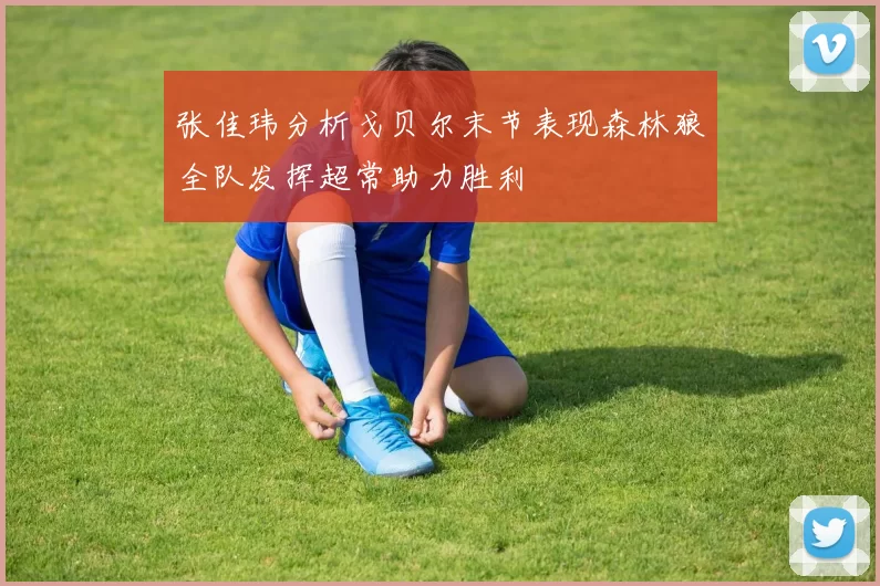 张佳玮分析戈贝尔末节表现森林狼全队发挥超常助力胜利