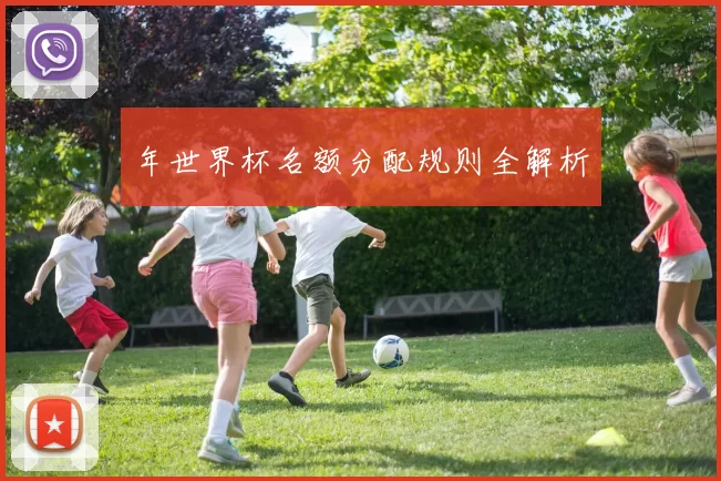 年世界杯名额分配规则全解析