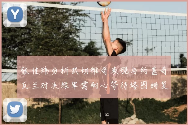 张佳玮分析武切维奇表现与约基奇瓦兰对决绿军需耐心等待塔图姆复出