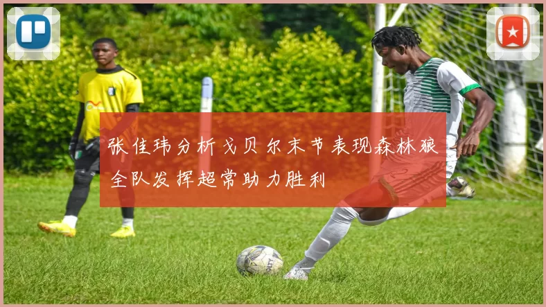 张佳玮分析戈贝尔末节表现森林狼全队发挥超常助力胜利