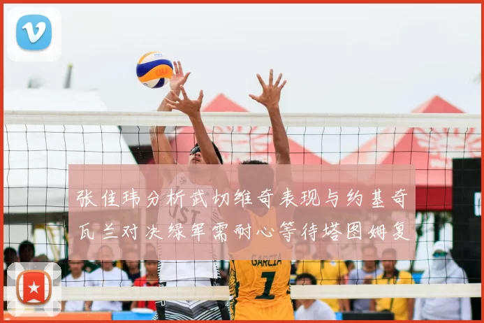 张佳玮分析武切维奇表现与约基奇瓦兰对决绿军需耐心等待塔图姆复出