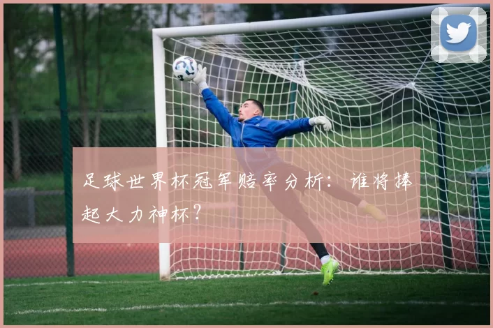 足球世界杯冠军赔率分析：谁将捧起大力神杯？