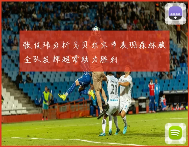 张佳玮分析戈贝尔末节表现森林狼全队发挥超常助力胜利